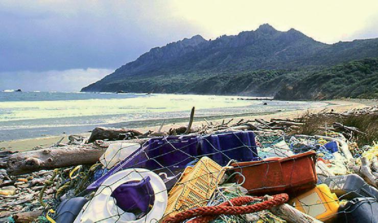 New Zealand là đất nước mới nhất cấm sử dụng túi nylon dùng một lần