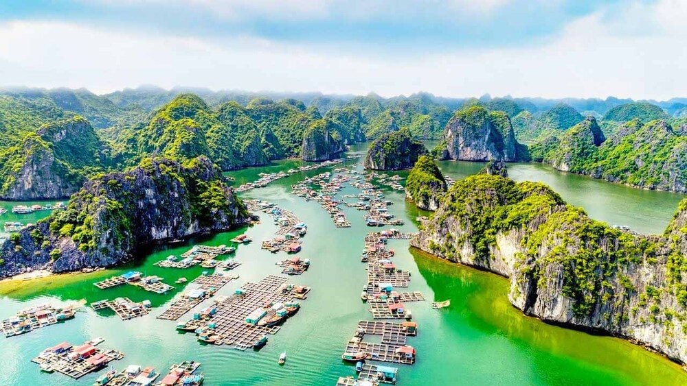 Bảo vệ đại dương - Vì sự sống con người
